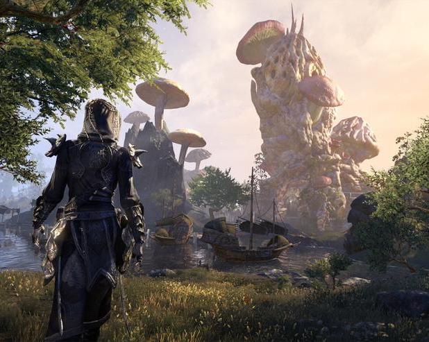 Пиратство и два больших города: в сети всплыли новые слухи о The Elder Scrolls 6