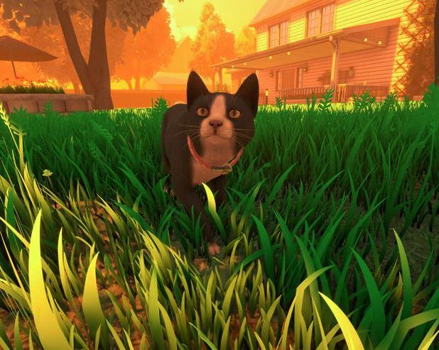 В сервисе Steam вышла трогательная игра Copycat про бездомную кошку